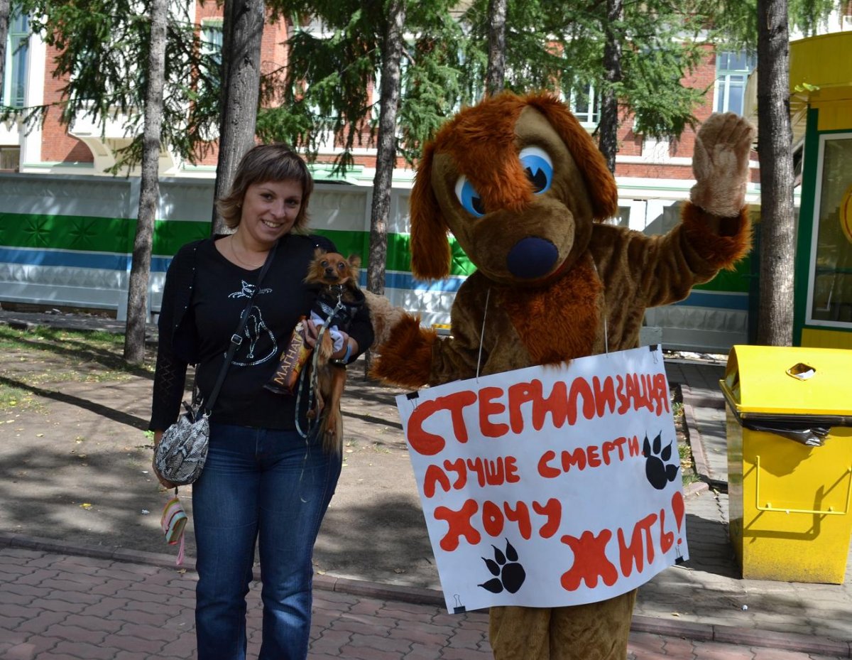 Собака и кошка пикетировали новосибирскую мэрию